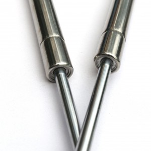 Stainless Steel Gas Struts